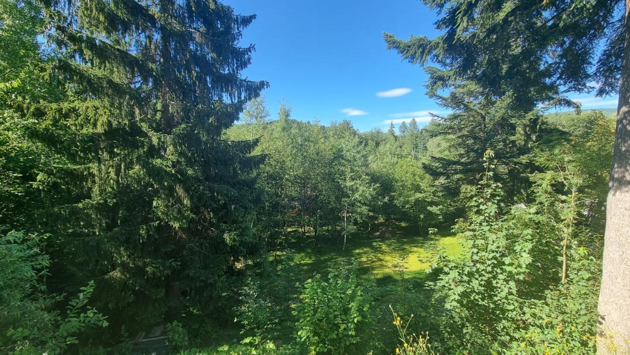 Rezydencja Barrettski Wisła Kültér fotó
